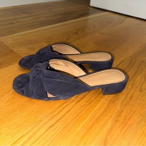 Banana Republic Blue Suede Slides